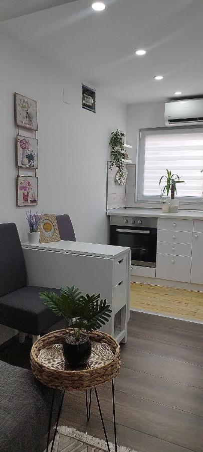 Queen Apartmancic Зайечар Екстериор снимка